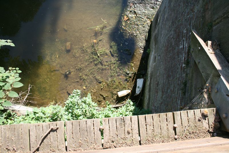 gal/Ville_Propre/OPERATION DECHETS LAMBRES 059.JPG